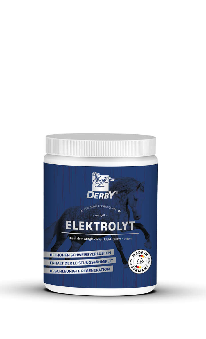 DERBY Zusatzfutter "Elektrolyt"